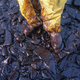 Image for article titled 30 years later, photos from the Exxon Valdez spill remain haunting
